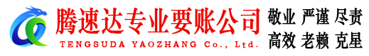 岳西腾速达清债公司